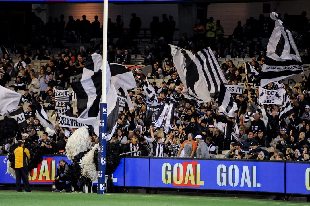 North Melbourne vs Collingwood Magpies Preview, Tips and Odds – AFL